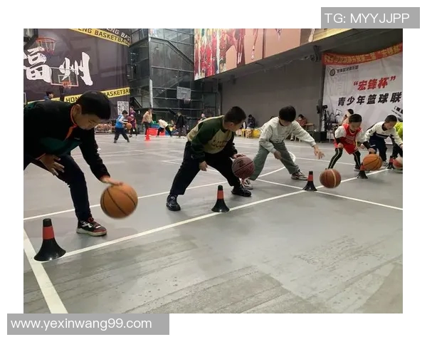 2016年篮球明星风云录：那些年我们追逐的传奇与梦想